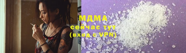 гашик Краснослободск