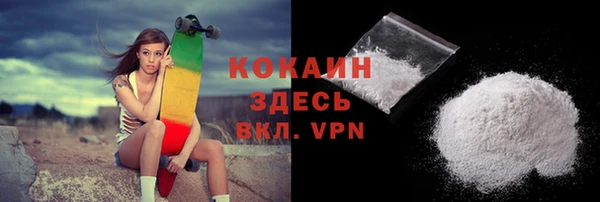 гашик Краснослободск
