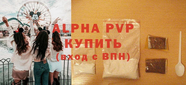 гашик Краснослободск