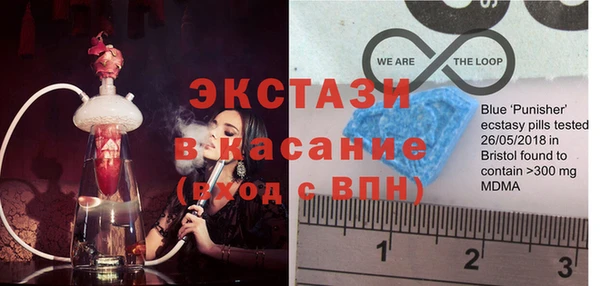 гашик Краснослободск