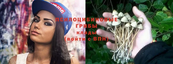 эйфоретик Красноперекопск