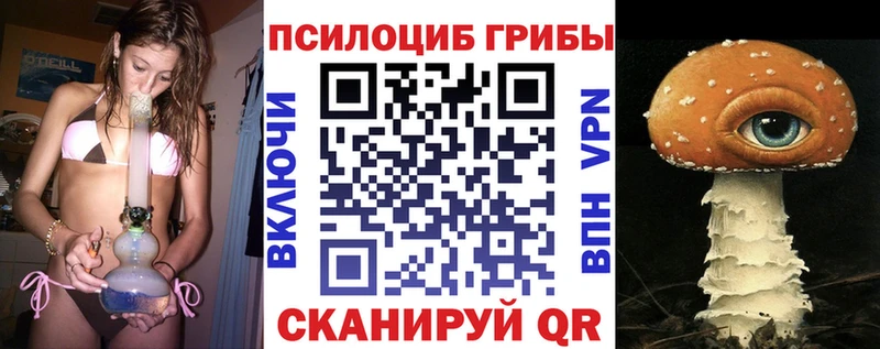 Купить где Зеленоградск Галлюциногенные грибы прущие грибы